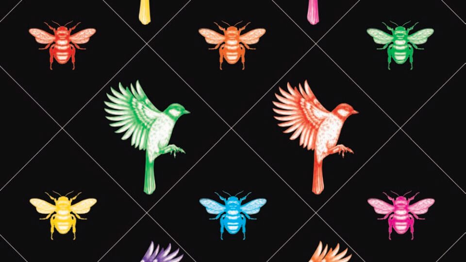 A collage of rainbow-coloured birds and bees against a black background.